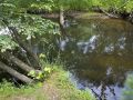Photo of Big Roche-A-Cri Trout Stream
