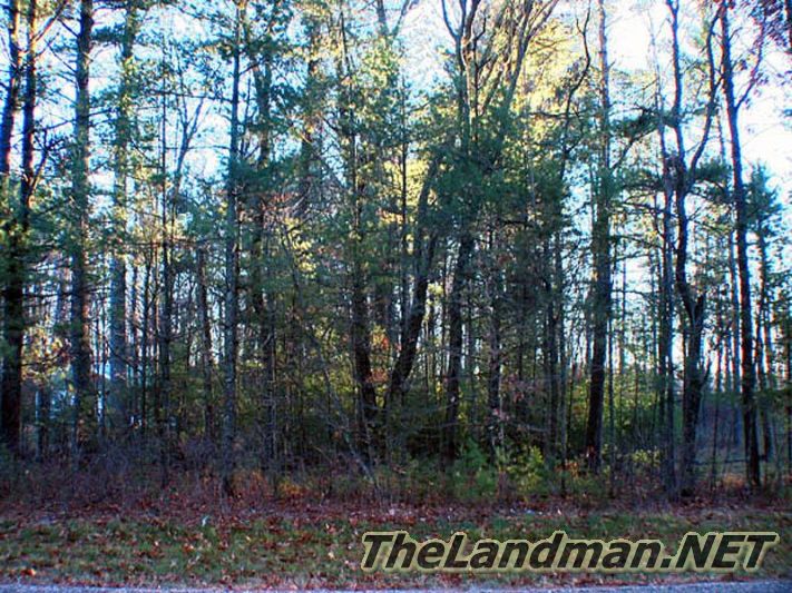 Majestic Pine Acres is close to Lake Petenwell