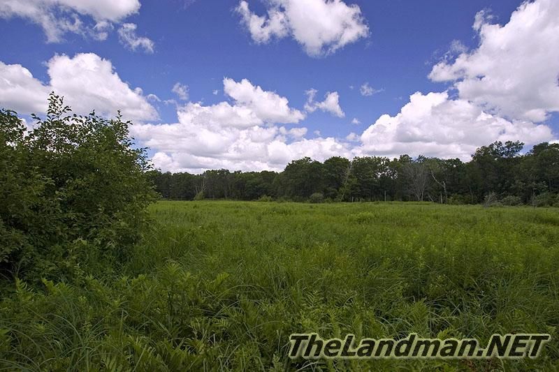 Lazy Creek is located in Adams Township, Adams County, WI.