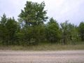 Pine Haven is located in Big Flats Township, Adams County, WI