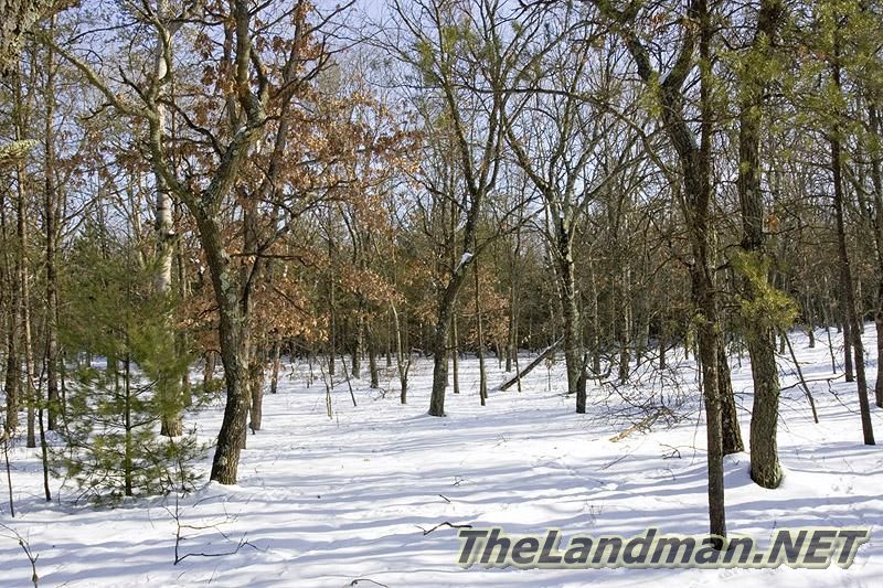 Winter Photo in Pine Oaks Subdivision