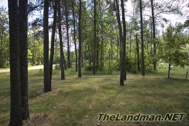 Pineorama is located in Quincy Township, Adams County, WI.