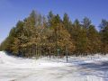 Pine Oaks Subdivision is located in Adams Township, Adams County, WI.