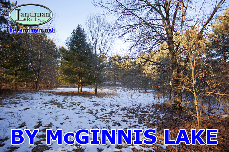 Adams Township WI Homes for Sale Cabins AFrames Mobiles