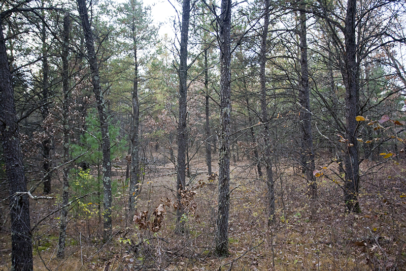 Wisconsin Farms for Sale & WI Farmland & Hobby Farmettes