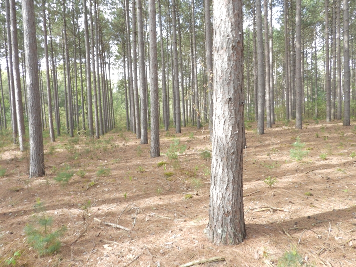 Wisconsin Farms for Sale & WI Farmland & Hobby Farmettes