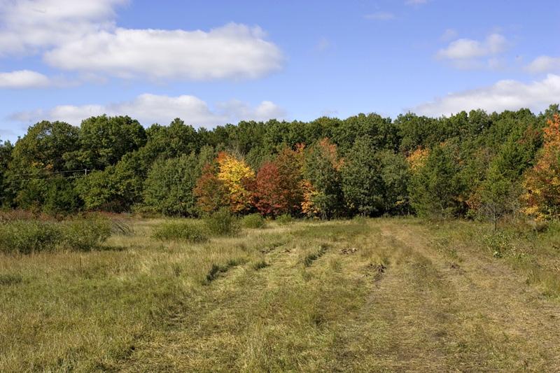 Beautiful Wooded Land With More Available!
