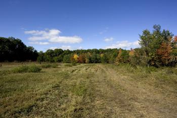 Own A Piece Of Central Wisconsin Real Estate
