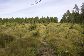 Adams County Land For Sale