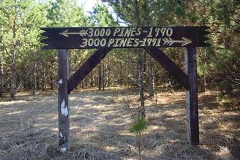 Rural, Level Lot For Sale In Big Flats Township
