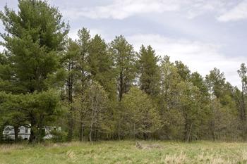 Buy Wisconsin Land For Sale Today!