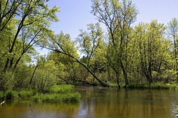 Breathtaking Deeded Creek Access For Sale!