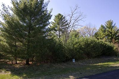 Unique Land For Sale With Lake Petenwell Deeded Access!