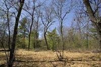 Cheap Vacant Land W/ Deeded Lake Access