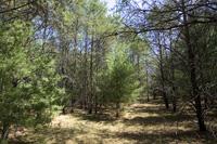 5 Acre Wooded Corner Lot For Sale