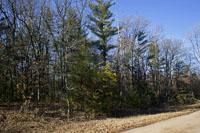 Camp or Build Near Lake Petenwell and Castle Rock Lake!
